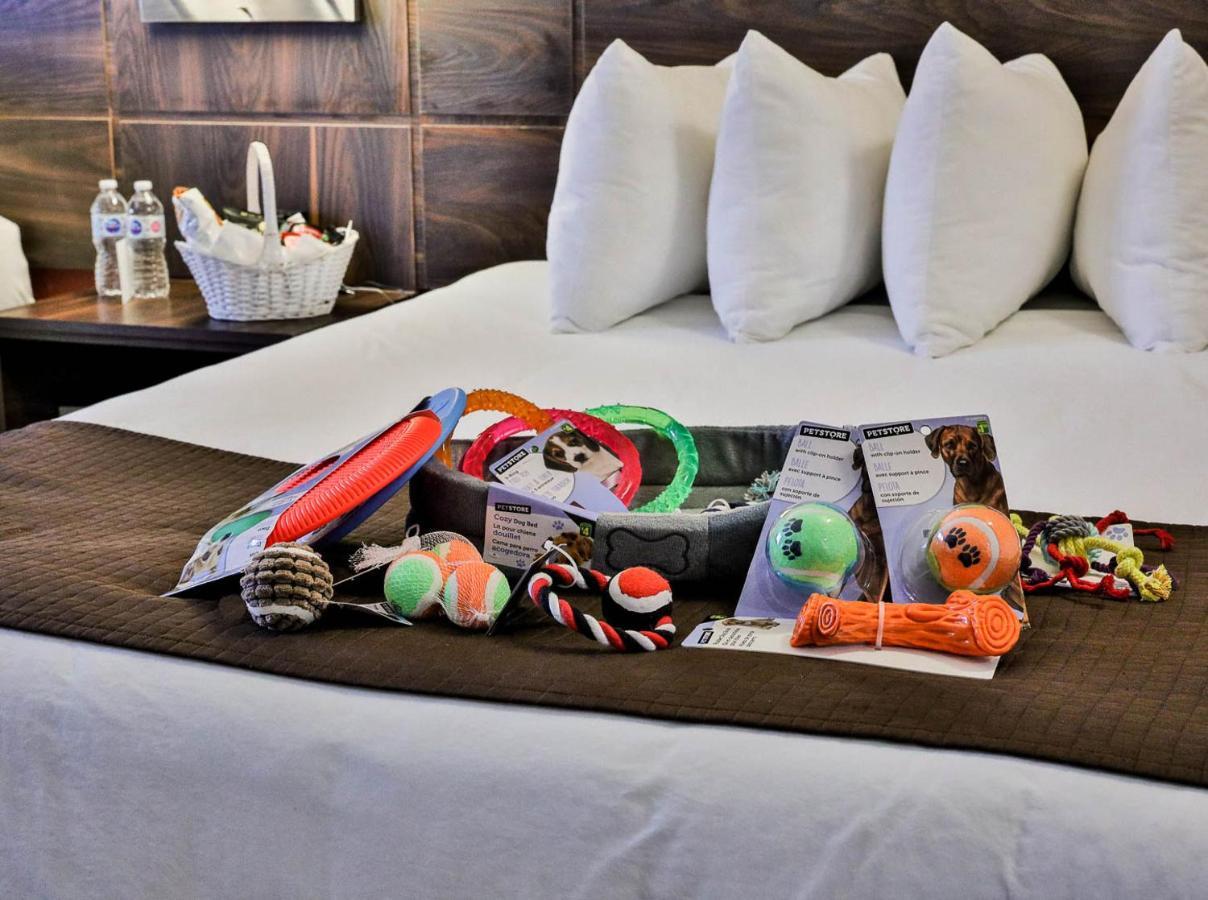Hotel Baymont By Wyndham Medicine 4*