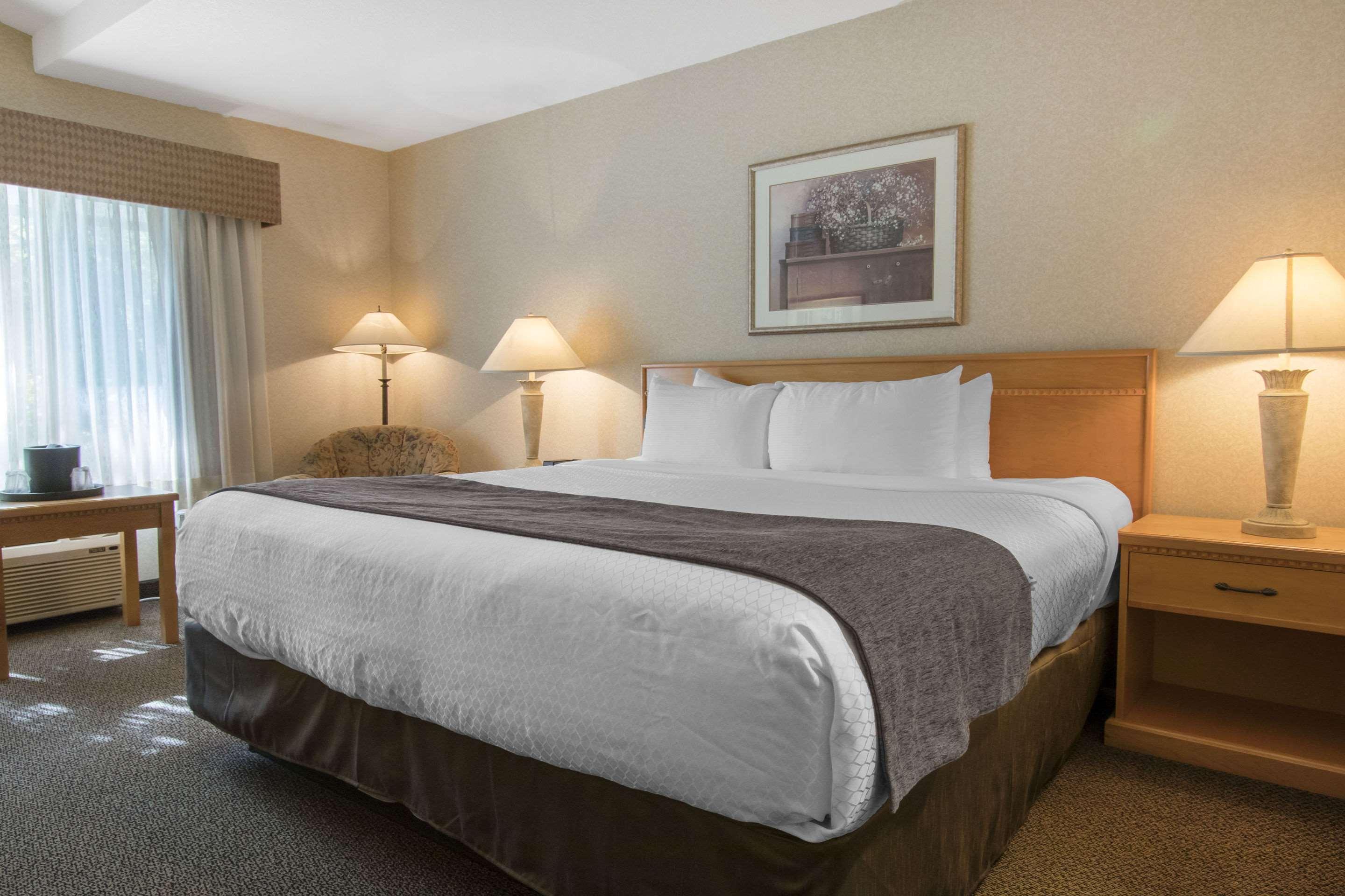 Hotel Flamingo 3*