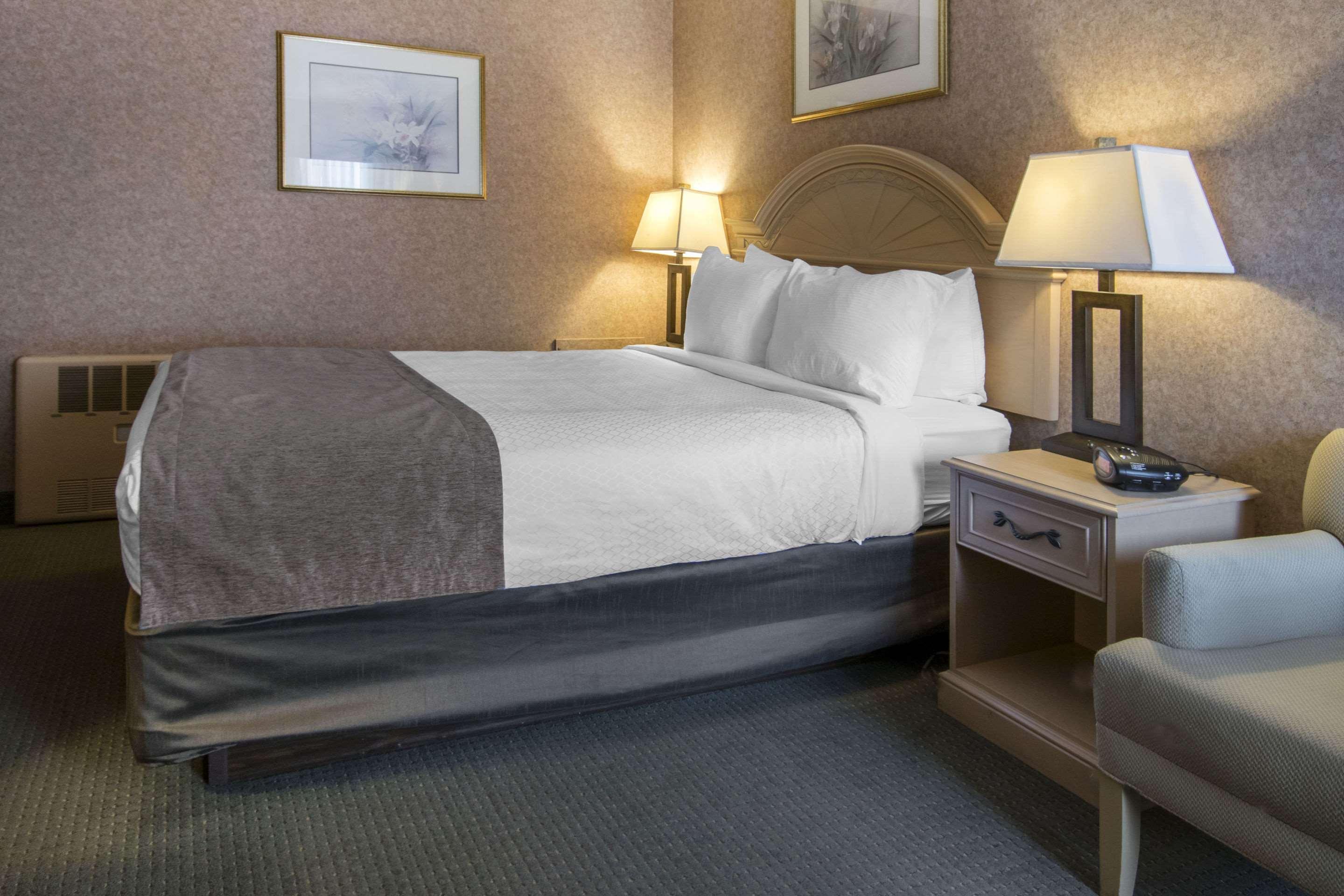 Hotel Flamingo 3*