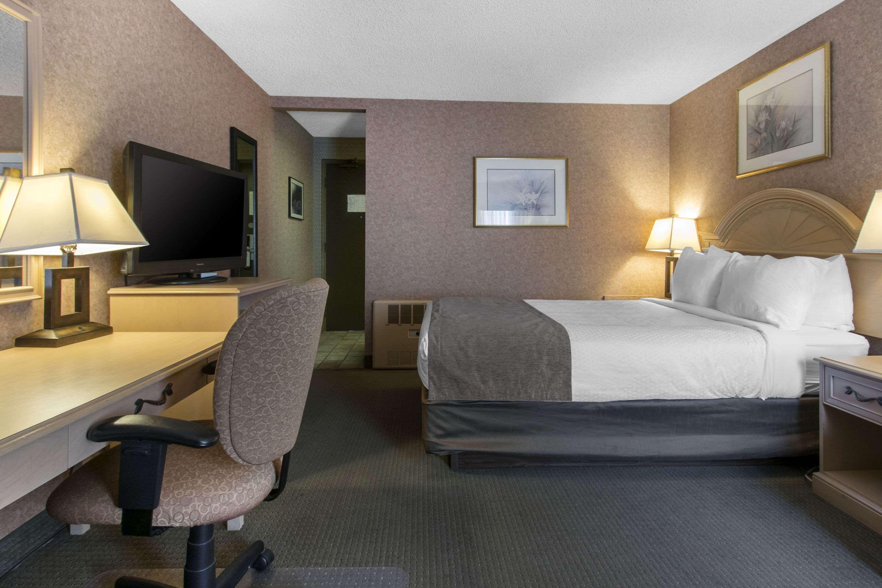 Flamingo Hotel Medicine Hat