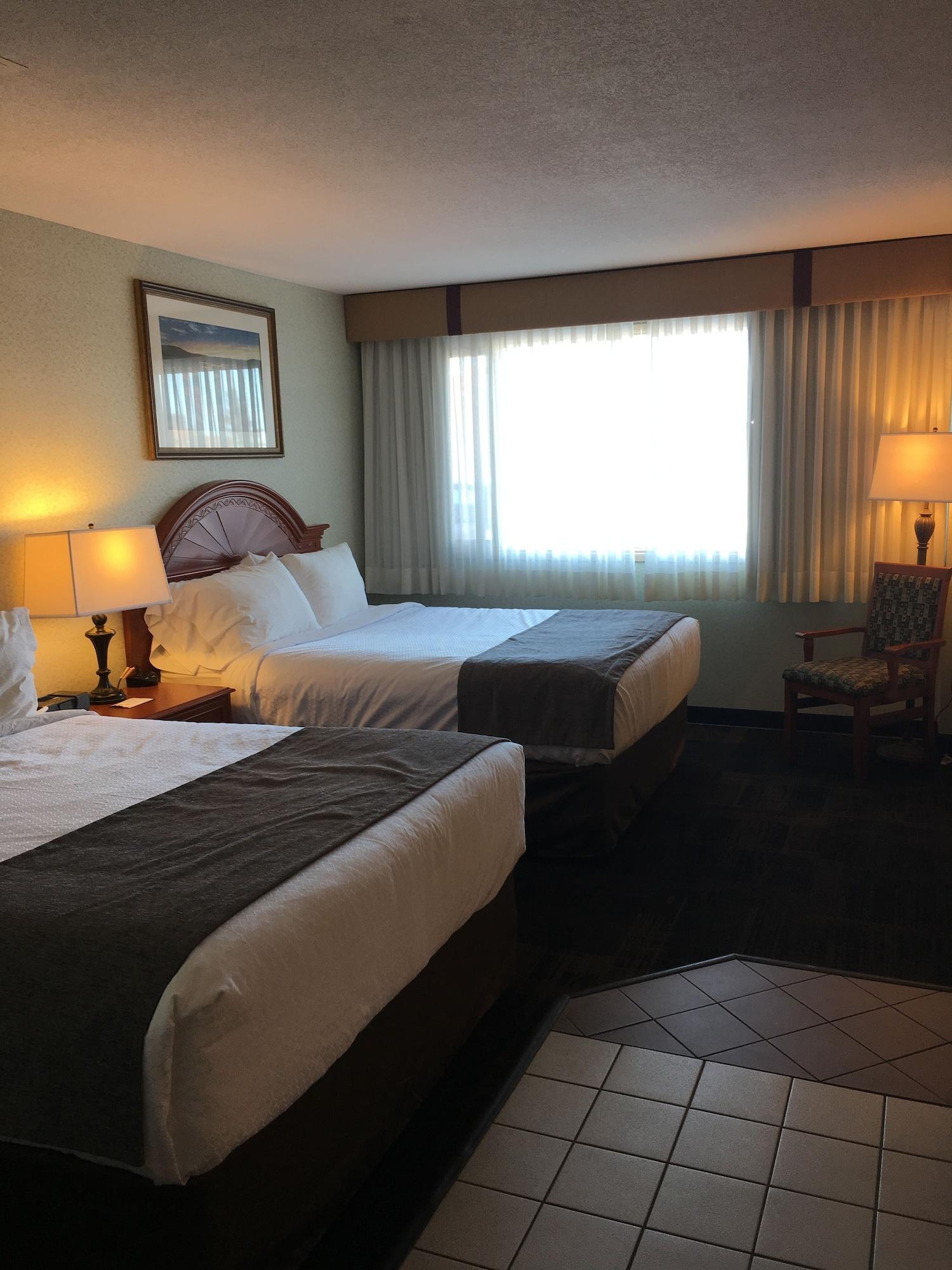 Flamingo Hotel Medicine Hat