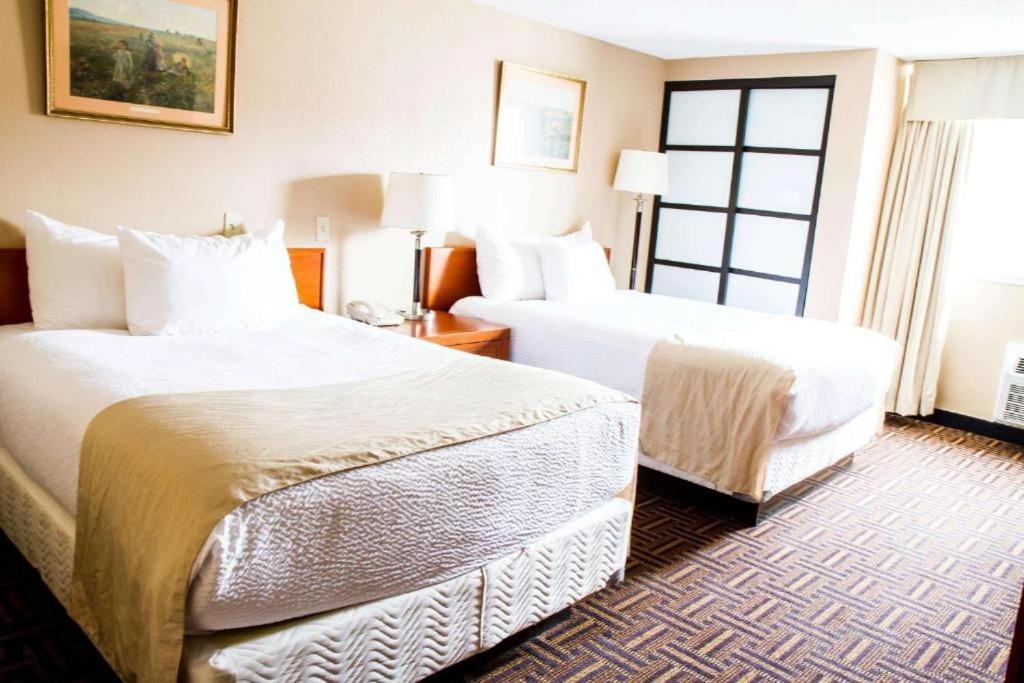 Wyndham Garden Medicine Conference Center 3* Medicine Hat