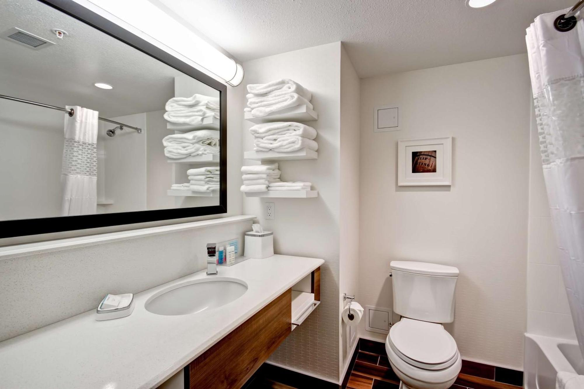 Hampton & - Medicine Hotel Medicine Hat