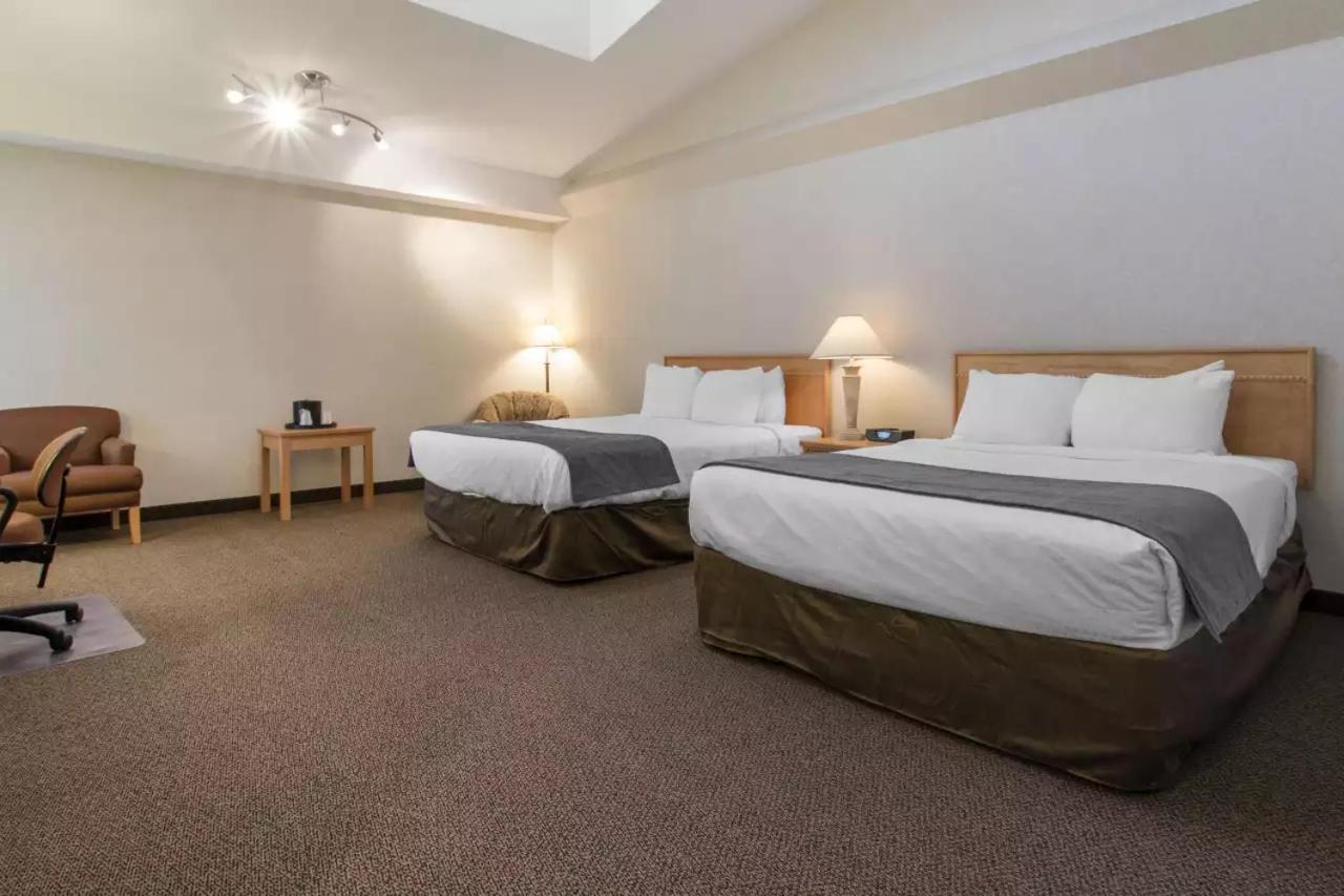 Flamingo Hotel Medicine Hat