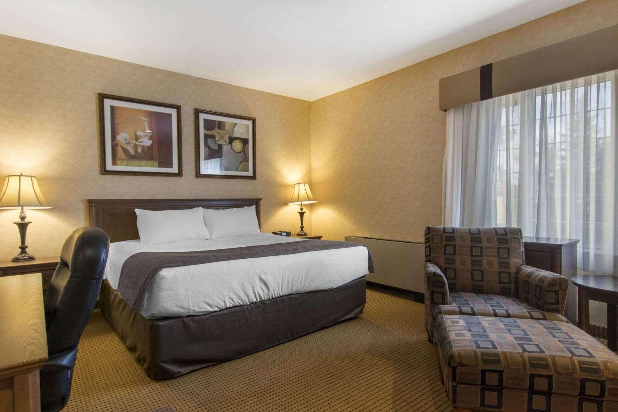 Flamingo 3* Medicine Hat