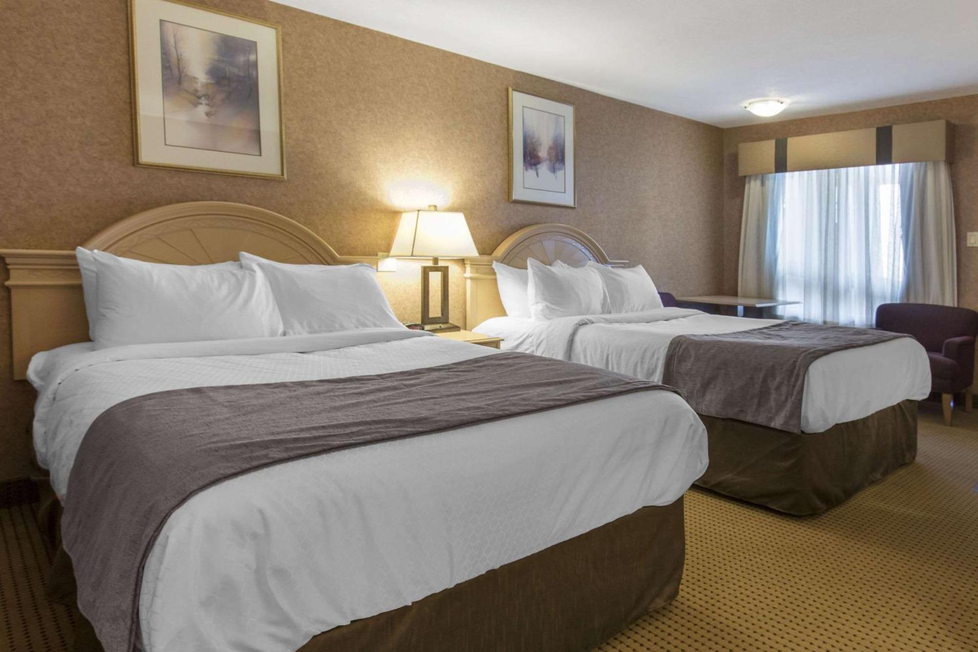 Hotel Flamingo 3*