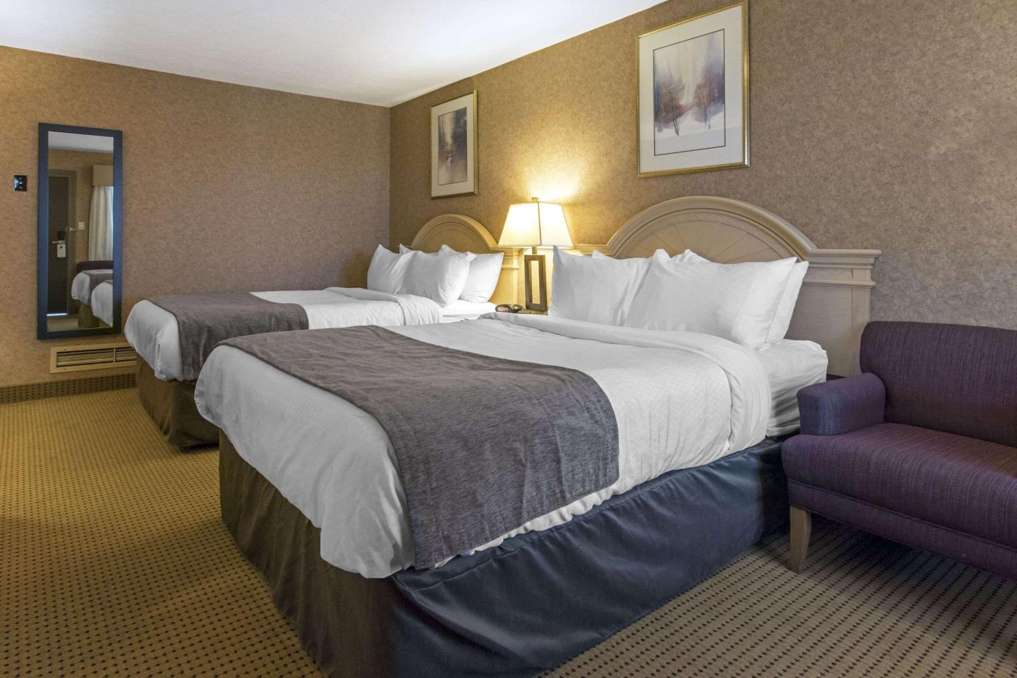 Flamingo Hotel 3*