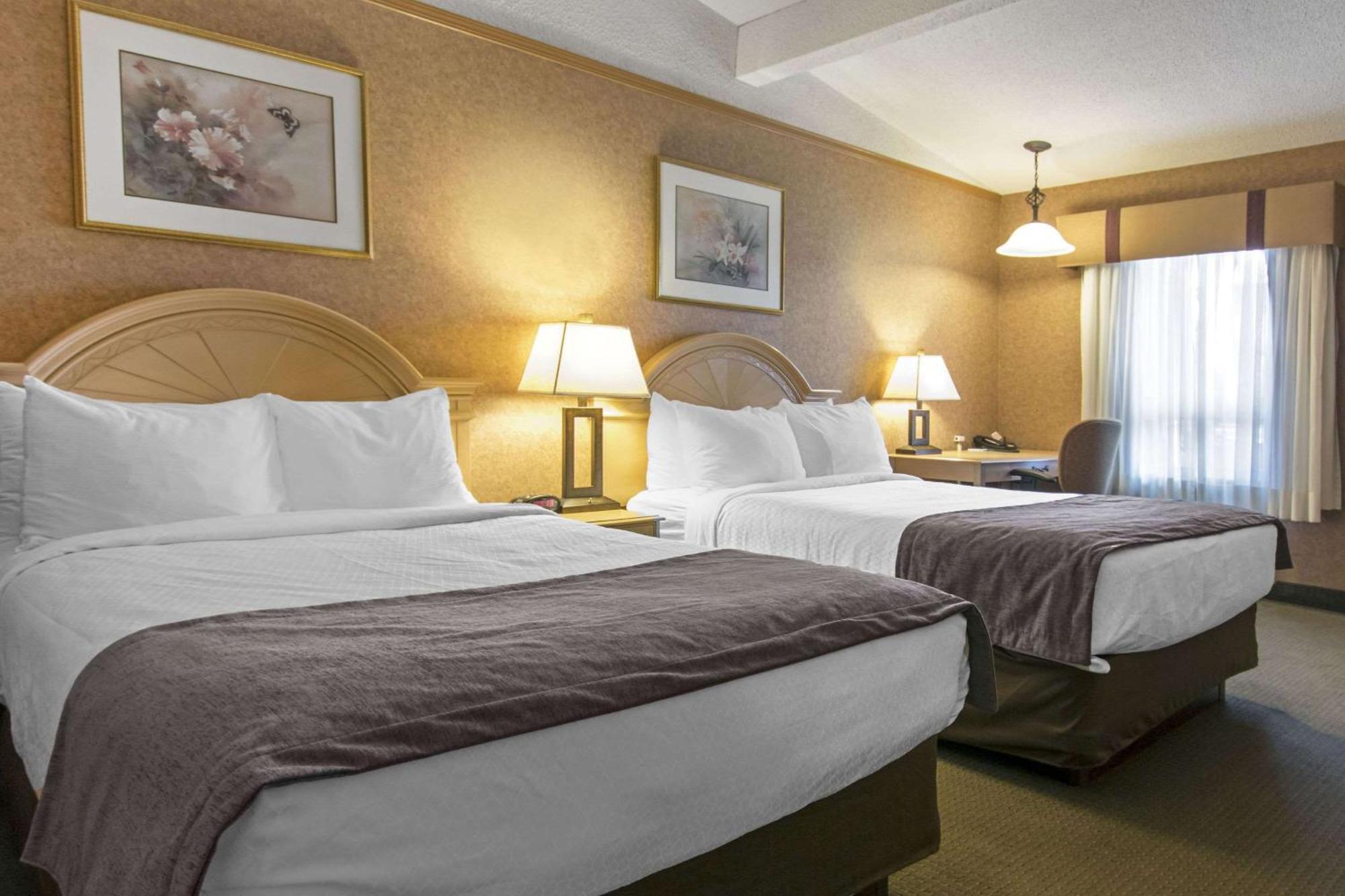 Flamingo 3* Medicine Hat