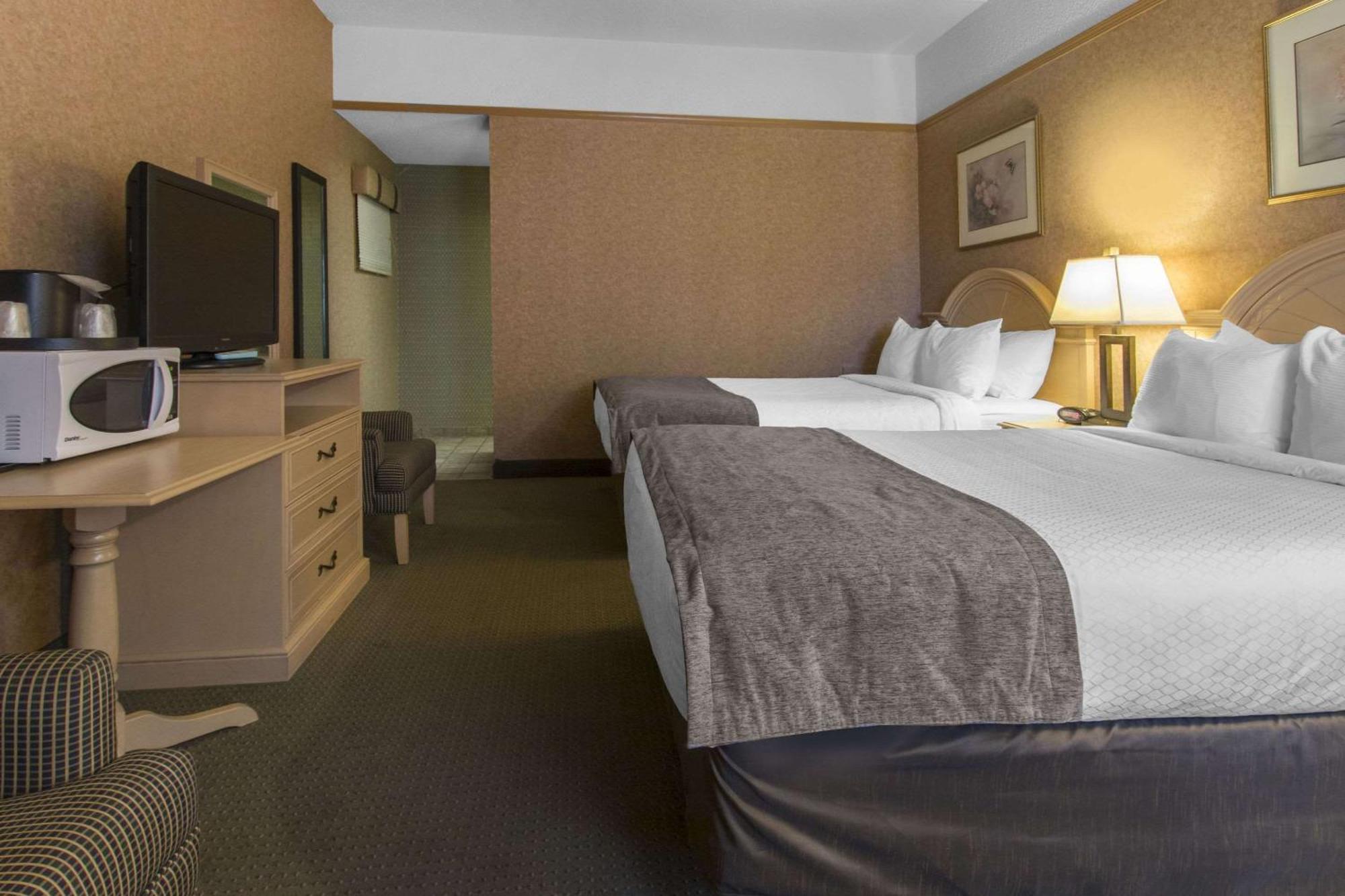 Hotel Flamingo 3*