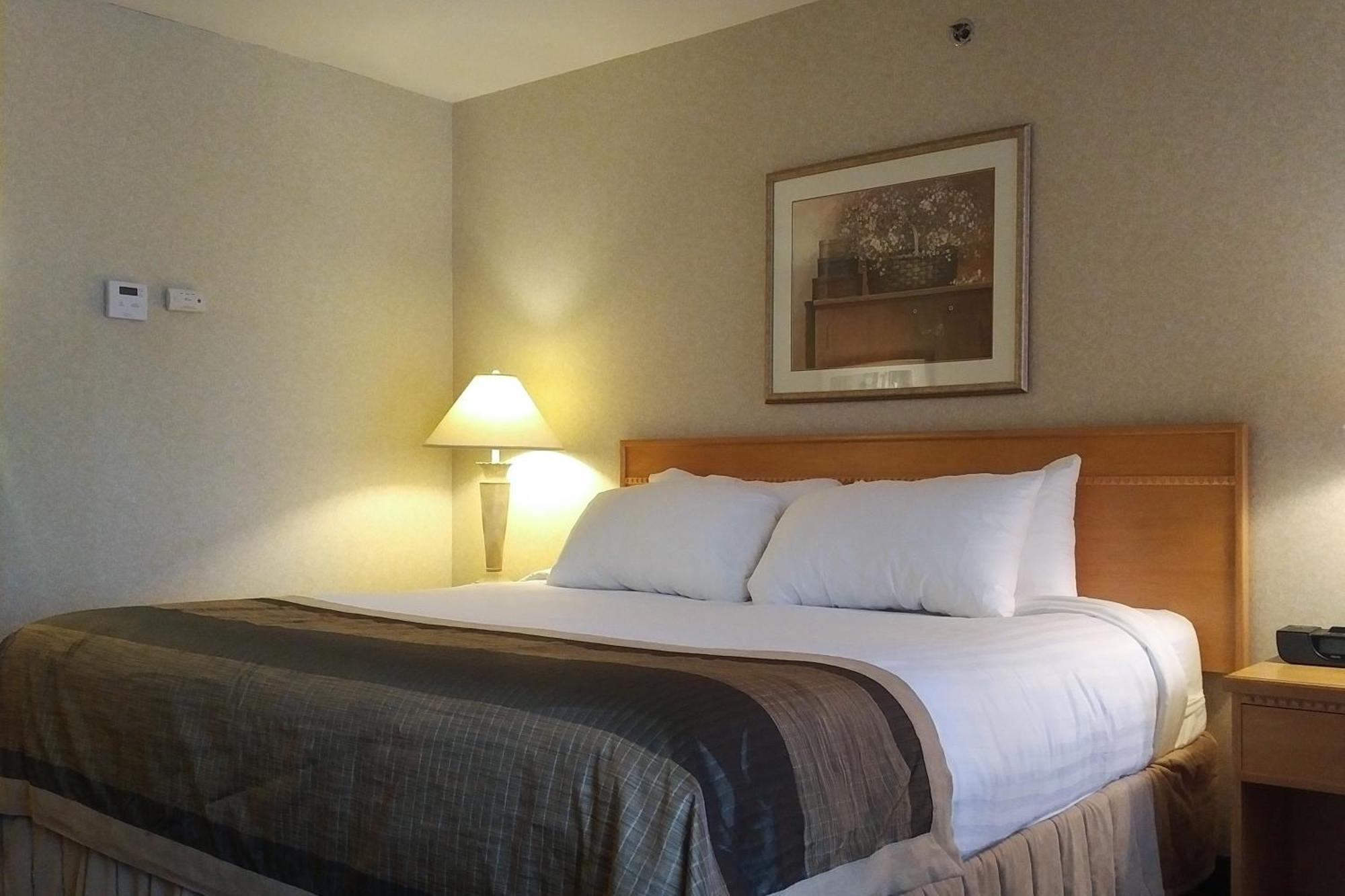 Flamingo Hotel 3*