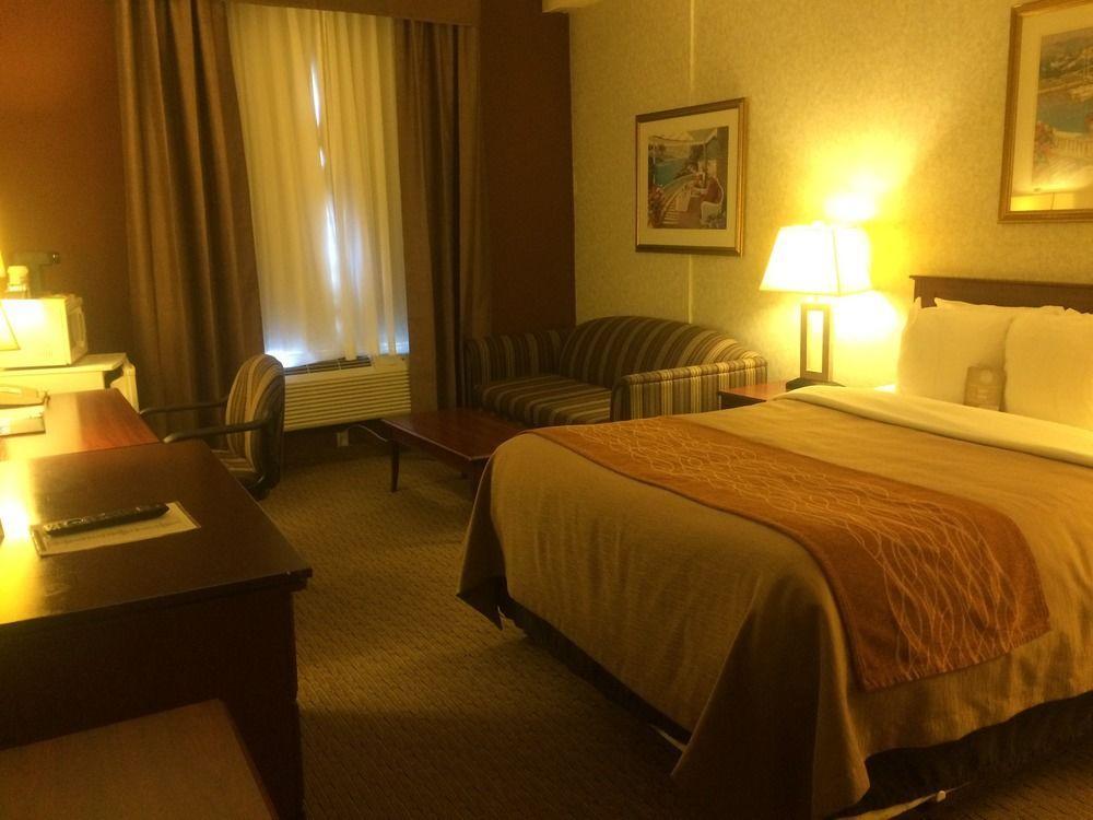 Comfort & Hotel