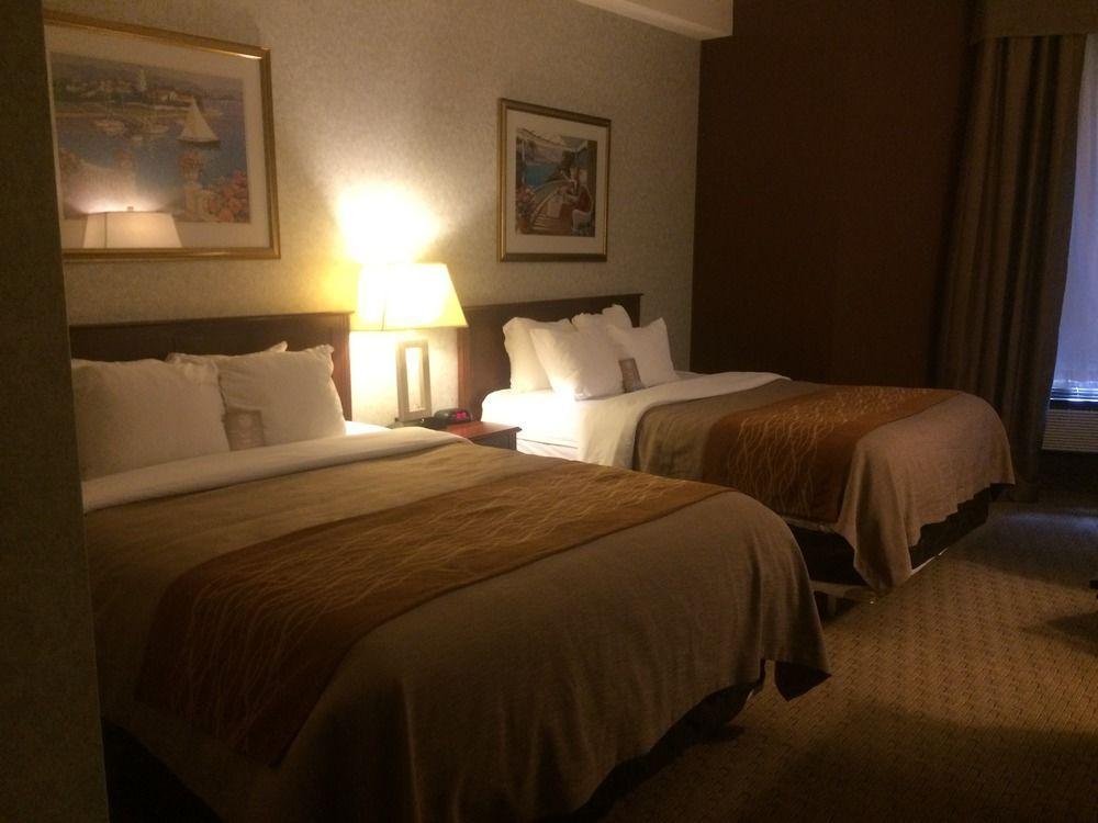 Comfort & 2* Medicine Hat