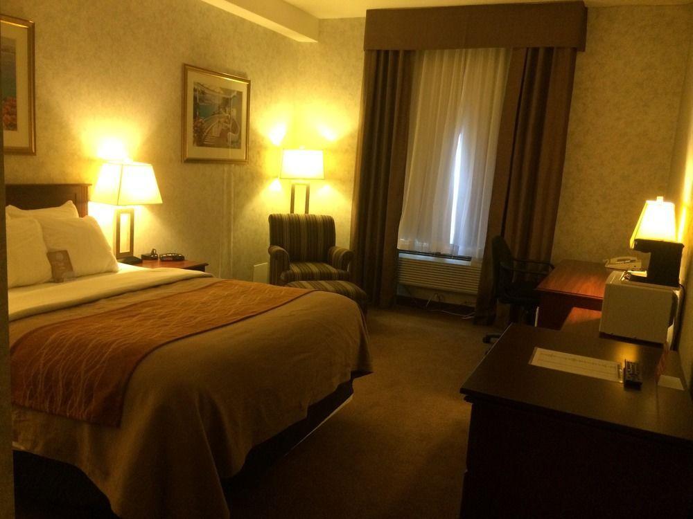 Comfort & Hotel