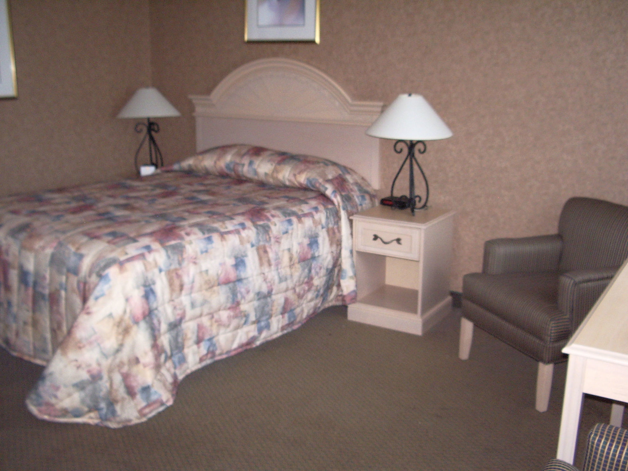 Flamingo 3* Medicine Hat