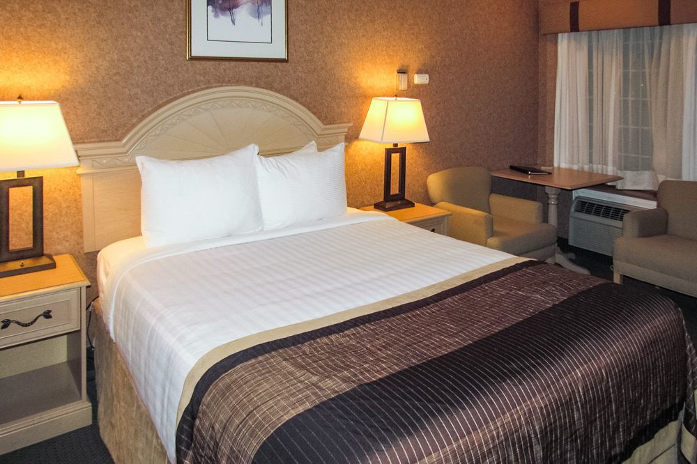 Flamingo Hotel