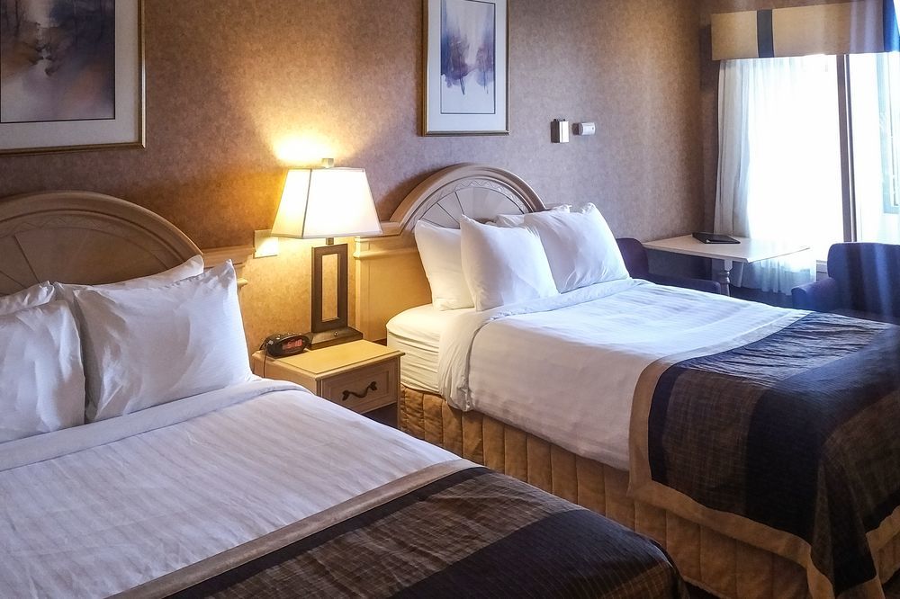 Hotel Flamingo 3*