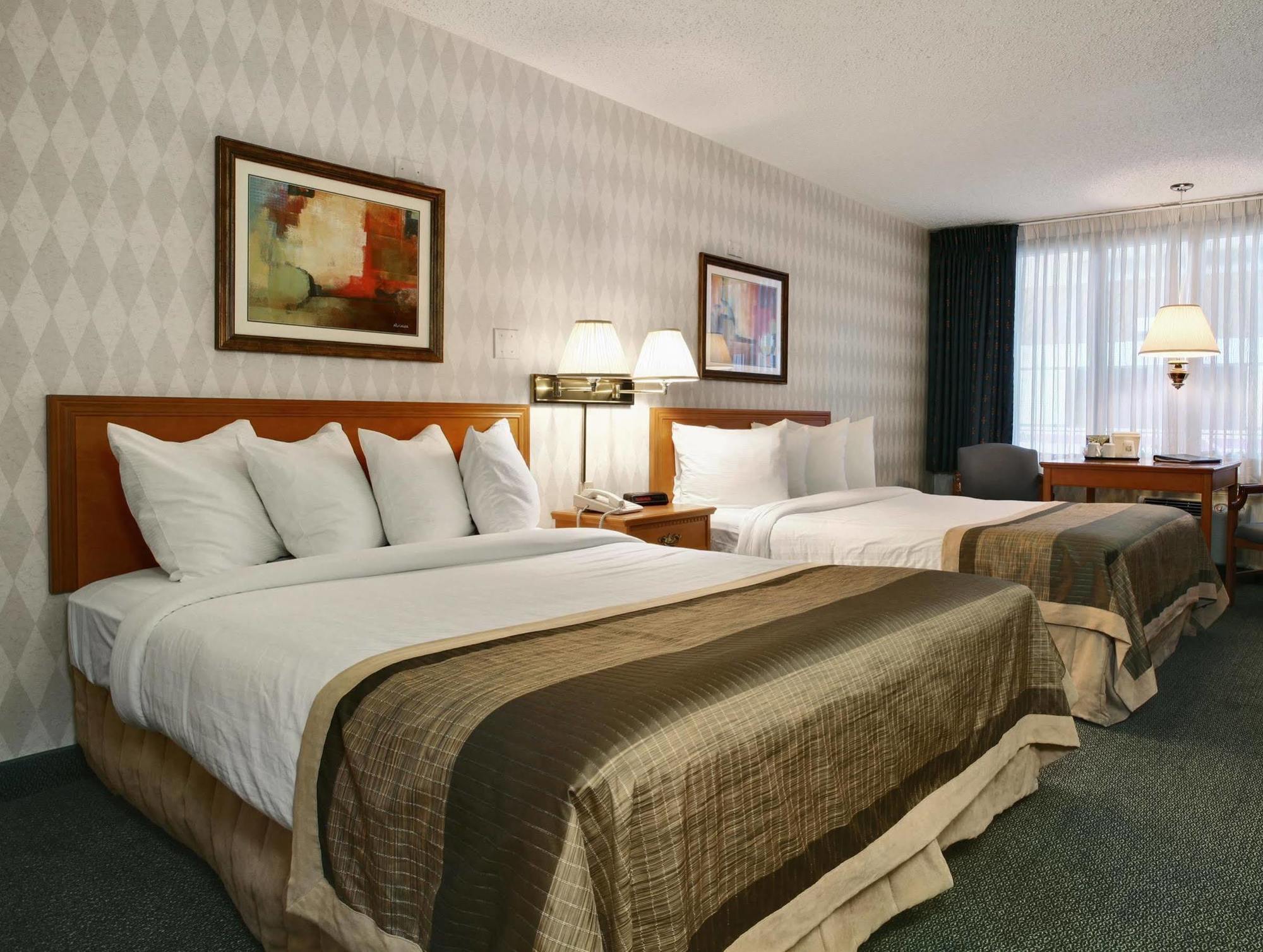 Hotel Flamingo 3*
