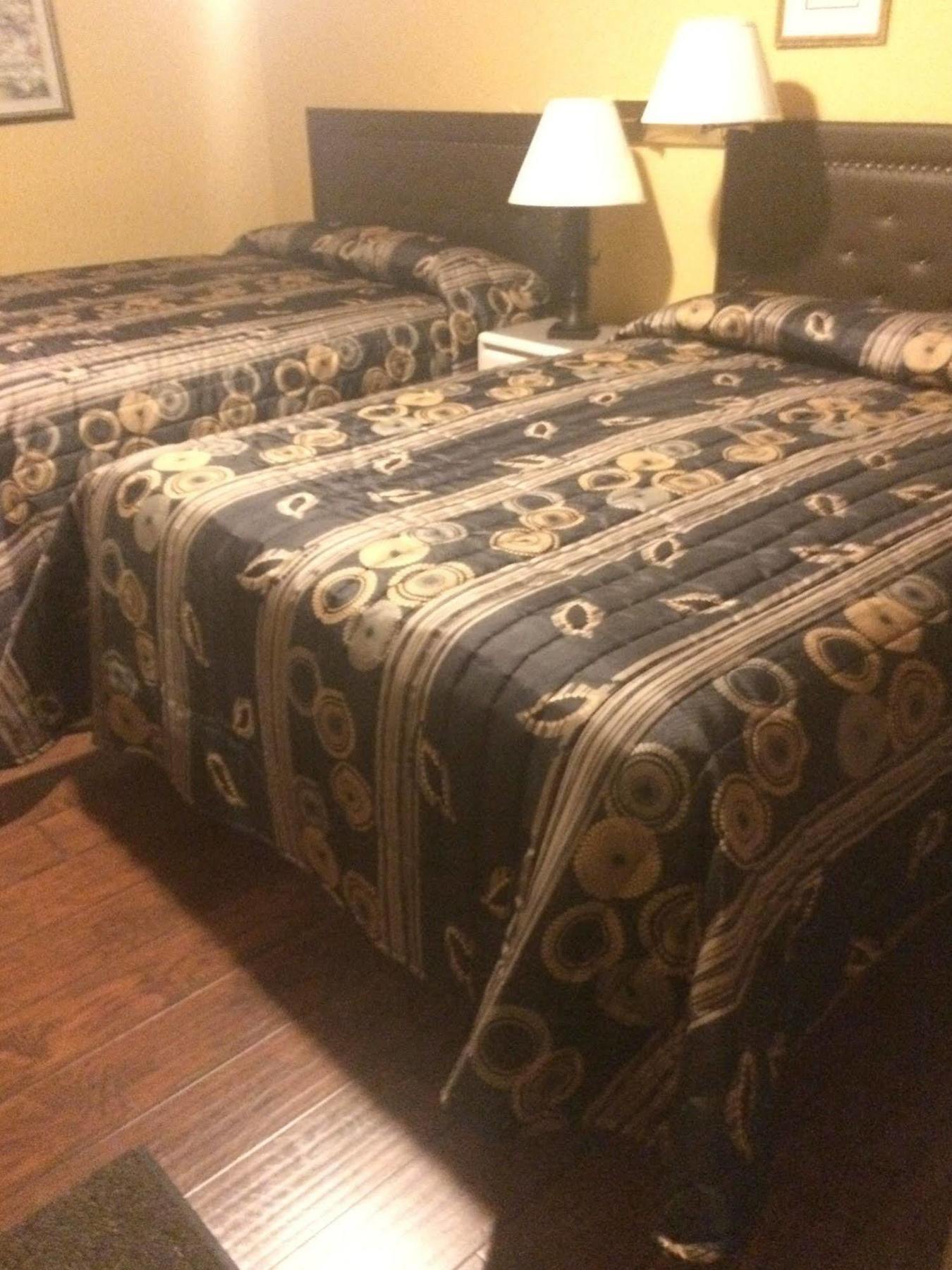 Satellite Motel 2*