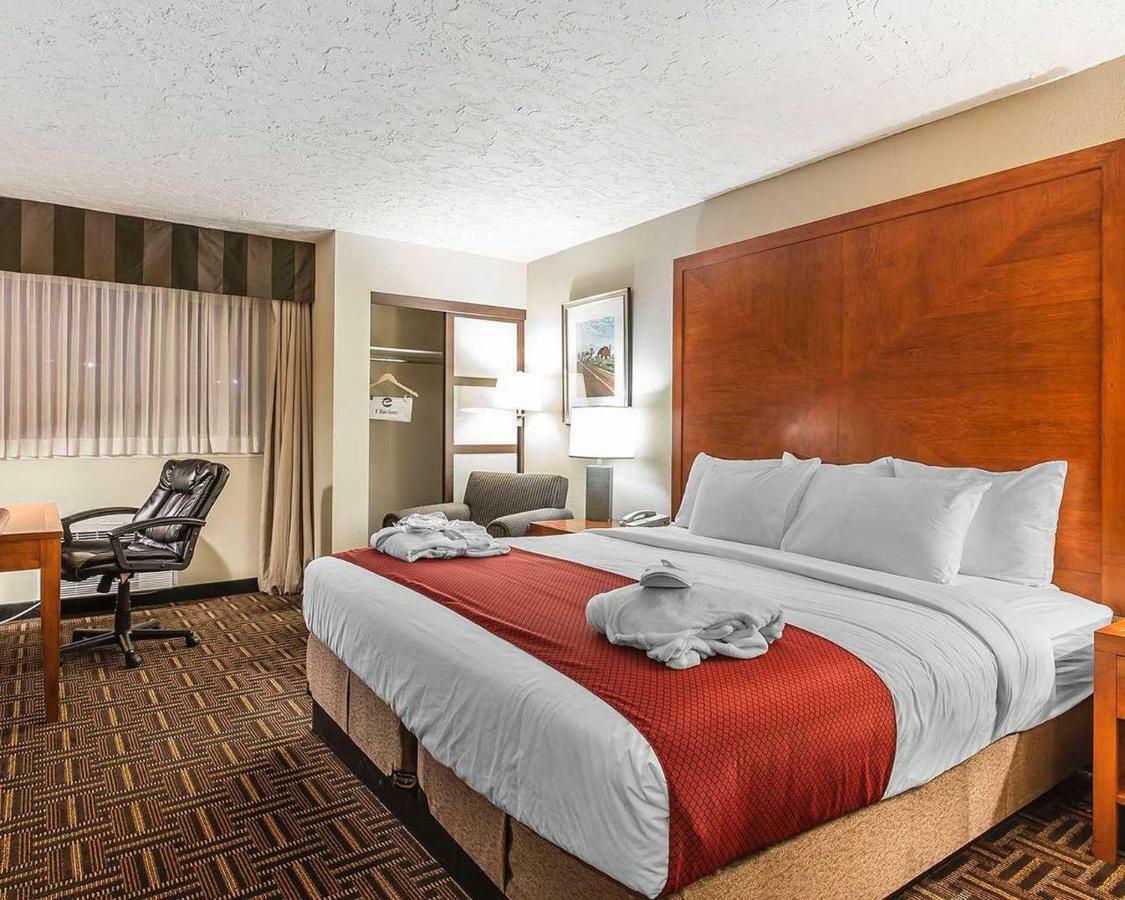 Hotel Wyndham Garden Medicine Conference Center Medicine Hat