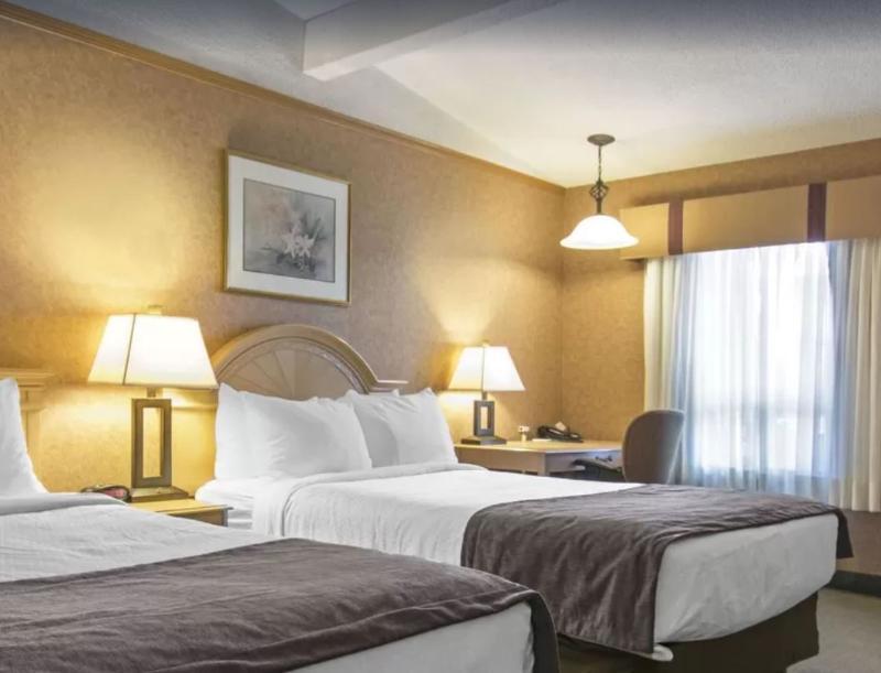 Flamingo Hotel 3*