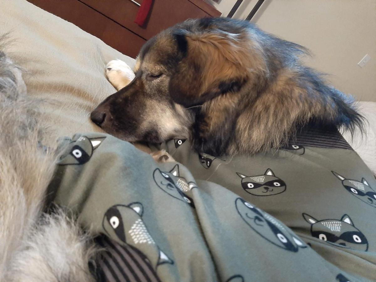 Comfort & 2*