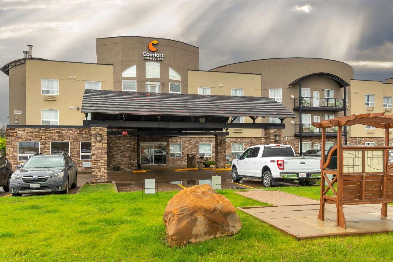 Hotel Comfort &
