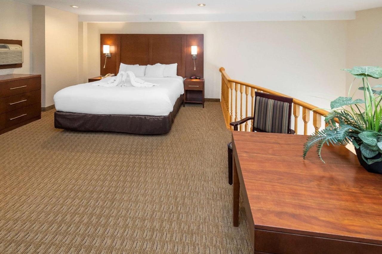 Hotel Comfort & 2*