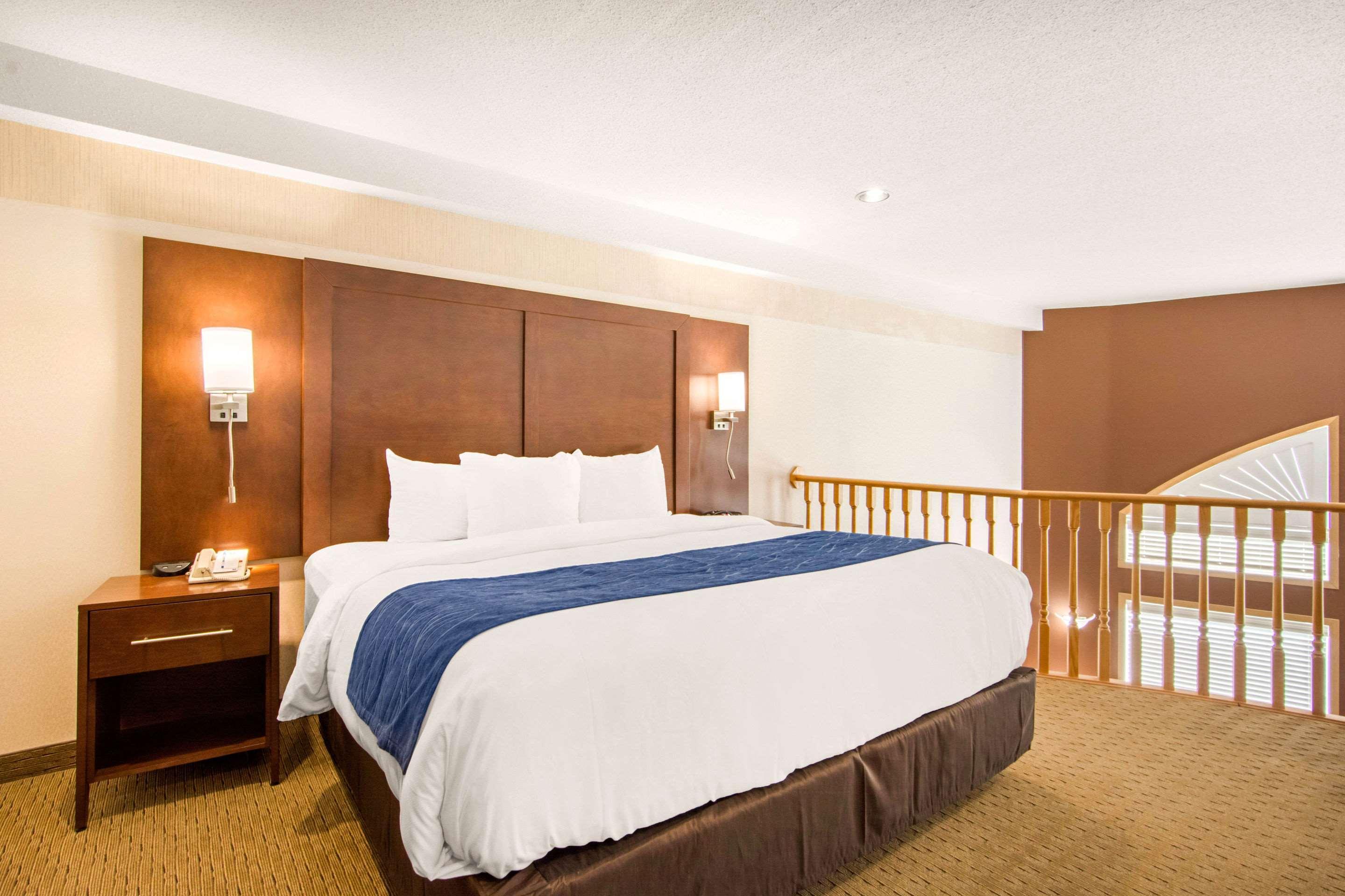 Hotel Comfort &