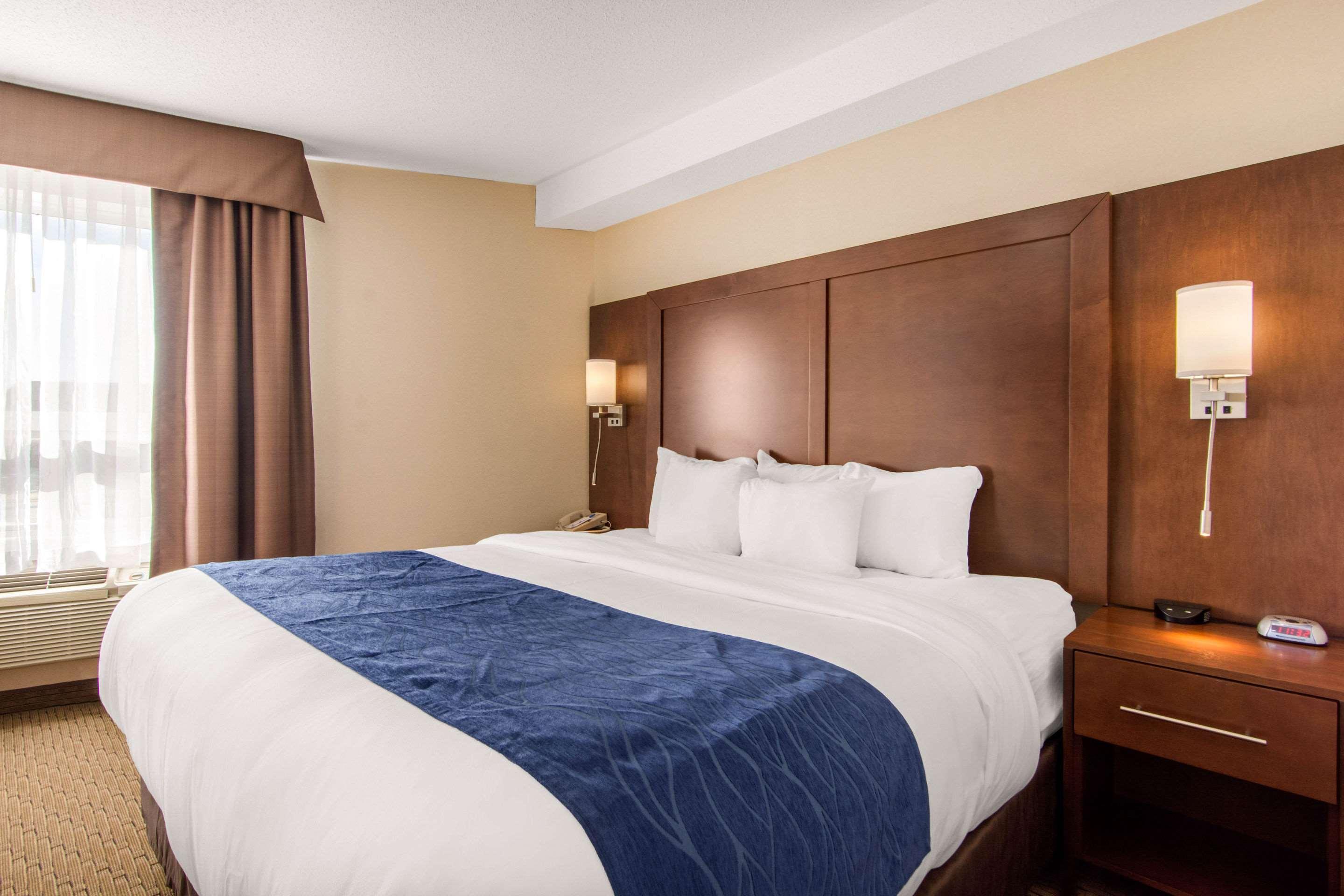 Comfort & Hotel