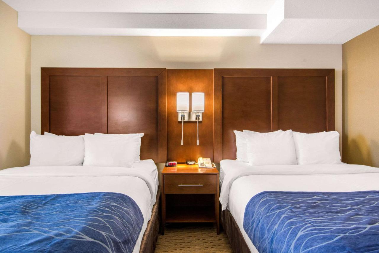 Comfort & Hotel