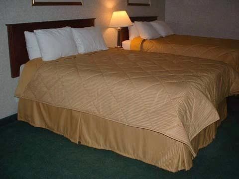 Hotel Comfort & Medicine Hat