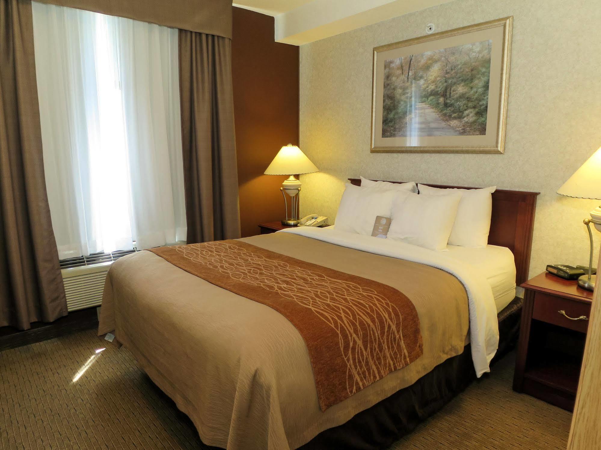 Hotel Comfort &