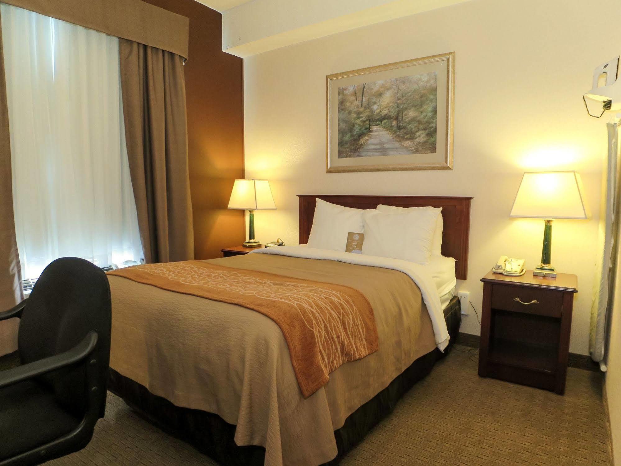 Hotel Comfort & 2*